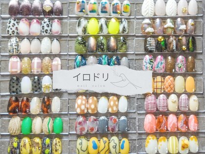 イロドリの写真