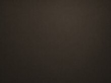 ザ ジェントルヴァリー 本町(THE GENTLE VARY)/メンズ眉毛サロン　本町