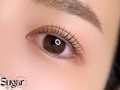 シュガー(Sugar)の写真