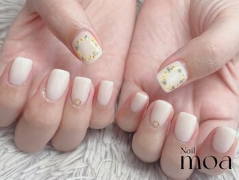 モア(moa)/ミモザ　ドライフラワー