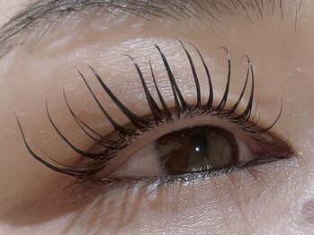 カラン 焼津店(CALIN)/シンプリフィ