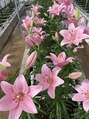 ポーラ ザ ビューティ マーケットシティ店(POLA THE BEAUTY) お花見や家のガーデニングも楽しいね！！