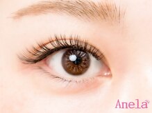 【ボリュームラッシュ】極細のエクステ3本が束になった人工毛を自まつ毛に装着する技法。華やかな仕上がり