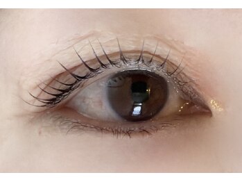 ロウ 裾野(Law)/LASH LIFT