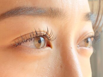 ショーン アーチャリー(CYON ARCHERY)/【マツエク】