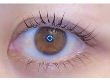 アイラッシュプラン メル 高槻JR駅前店(eyelash plan Mel)/パリジェンヌラッシュリフト