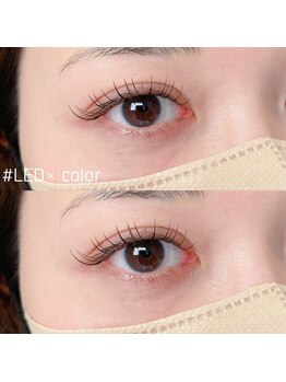 まつげエクステ専門店 アイラ 柏店(EYELA)/LEDエクステ