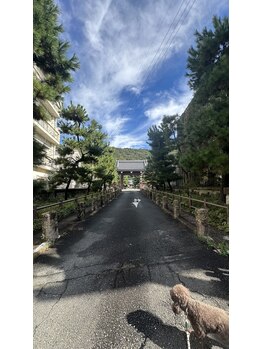 サロン ニコ(salon 25)/ここ、入ってください！