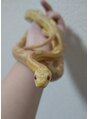 ルノア 梅田院(LUNOA) 昔蛇も飼ってました!