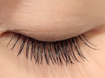 カラン 焼津店(CALIN)/フラットラッシュ140本