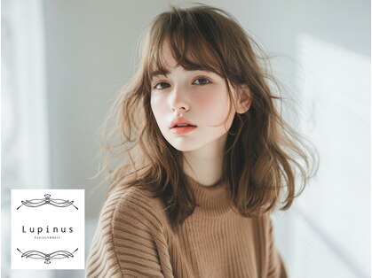 ルピナス 川口(Lupinus)の写真