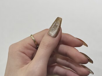 ララネイル(LALA nail)/マグネットワンカラー