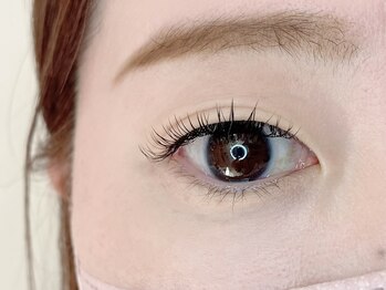 クレパリラッシュ(Clepari Lash)/バインドロック120束