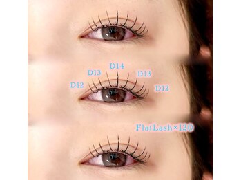 シックドゥアキタ(CHIC de Akita)/フラットラッシュ