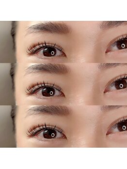 アイリス(eyeris)/フラットラッシュ