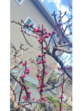 マシュマロハンド/よもぎ蒸し/冷え/むくみ改善