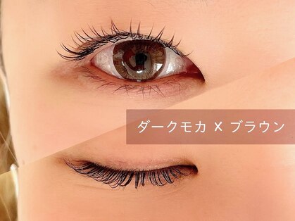 キーノ(kiino)の写真