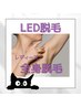 【レディース】LED全身脱毛(顔/ワキ/VIO込み)¥13,000 → ¥11,000