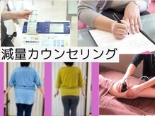ゲットレディー マイ スリムレディー