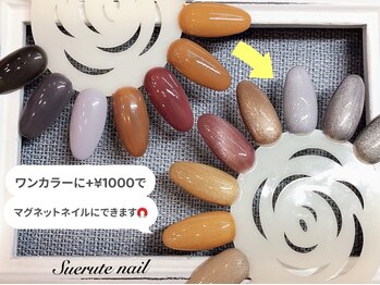 スエルテ ネイルサロン 北千住店/好きな色でマグネット♪ ¥7000