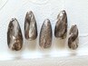 HAND  定額サンプル【M】