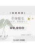 全身脱毛（ヒゲ、VIOなし）