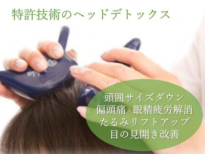 プロエステマザーの写真