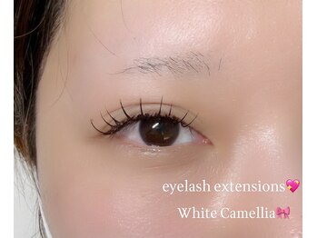 ホワイトカメリア 上本町店(White Camellia)/マツエクサロン/LED