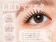 モコ(moco)の写真