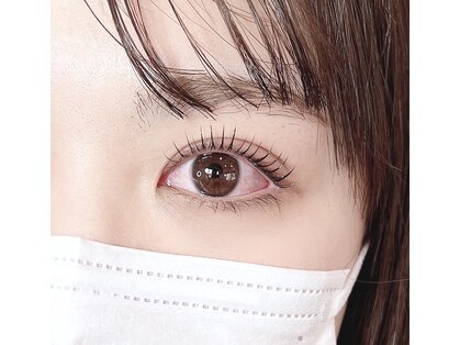 ニコ(NICO)の写真
