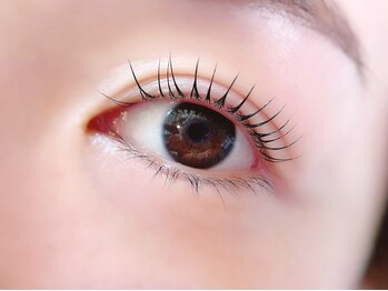 ケイラッシュ(K-LASH)/