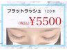 【マツエク】フラットラッシュ（コ-ティング付）120本¥5500