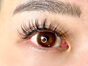 椛(momiji)/Wフラットラッシュ120束