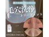〈9月ご新規様限定！〉夏のお疲れ肌リセット毛穴洗浄トリートメント