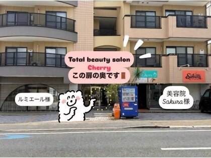 チェリー(Cherry)の写真