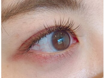 アイラッシュサロン エフ(f)/☆ブラウンフラットMIX120本☆