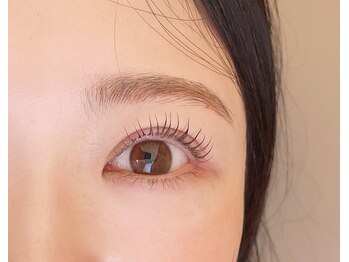 ヨリソイ(yorisoi)/パリジェンヌラッシュリフト