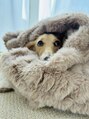 カド 白金台(Kado)&nbsp;モコモコお布団が大好きな犬がいます。犬見知りです。