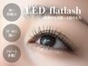 【3回目まで◎/高持続で汗水に強い！】《140本》LEDフラットラッシュ￥8800