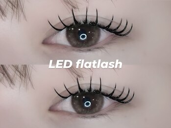 プラス ファースト(Plus 1st)/LEDマツエク