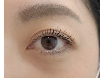 サリュ バイ ホノホノ(Salyu by hono hono)/