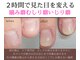 グレースレディの写真