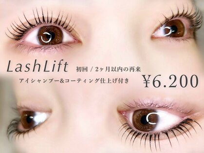 コットン(cotton)の写真