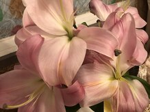 ラコピア/ラコピア^_^