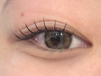 ネオリーブ ウリ(Neolive uri)/フラットラッシュ100本