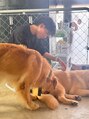 整体院リハイロ 津山店 犬カフェ♪