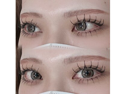 アンジェリークアイラッシュ(Angelique Eye Lash)の写真