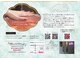 プルメリア(Plumeria)の写真