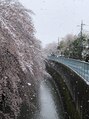 伏見パーソナル整体院&nbsp;東京旅行で見た雪と桜に感動しました！【頭痛/肩こり/猫背】