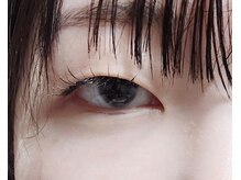 ジャポネスク(JAPONESQUE)/フラットラッシュ120本